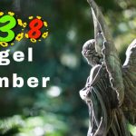 Angel Number 838 Meaning: Love And Twin Flame