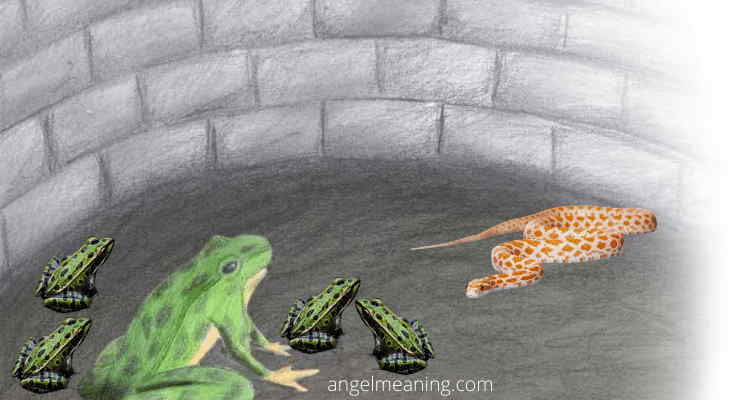 Futile battle between two frogs 