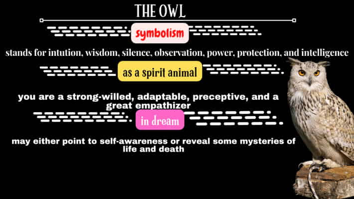 Owl Spiritual Meaning: Symbolism Of this spirit animal