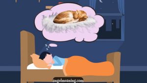 Dreams about cats meaning