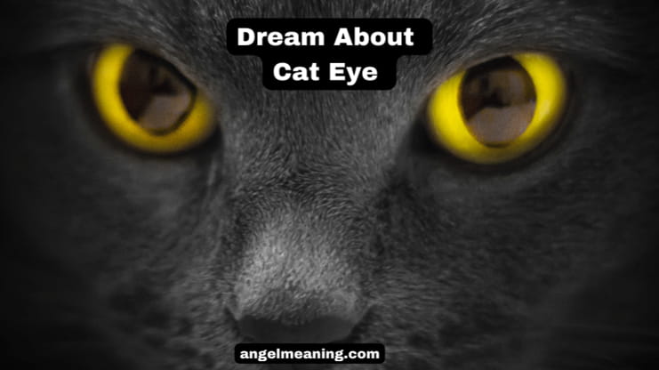 dream about cat eye