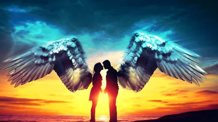 838 angel number twin flame