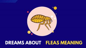 Dreams About Fleas Mean