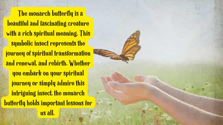monarch butterfly spiritual meaning